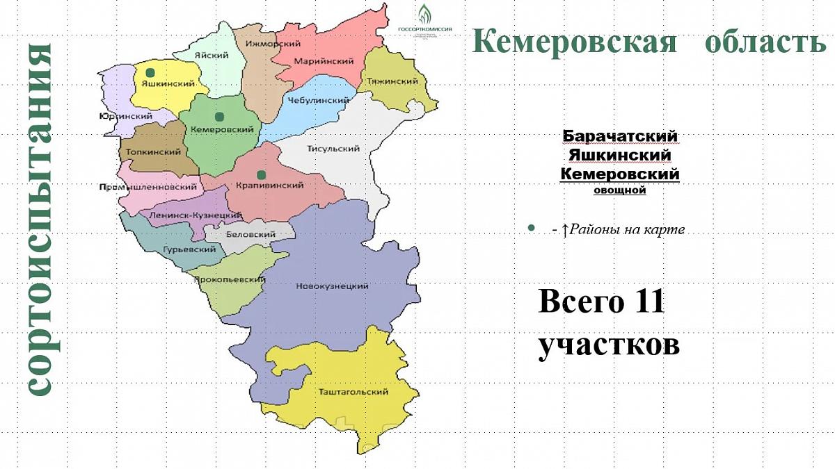 Филиал ФГБУ «Госсорткомиссия» по Новосибирской и Кемеровской областям участвует в профориентационной работе со школьниками