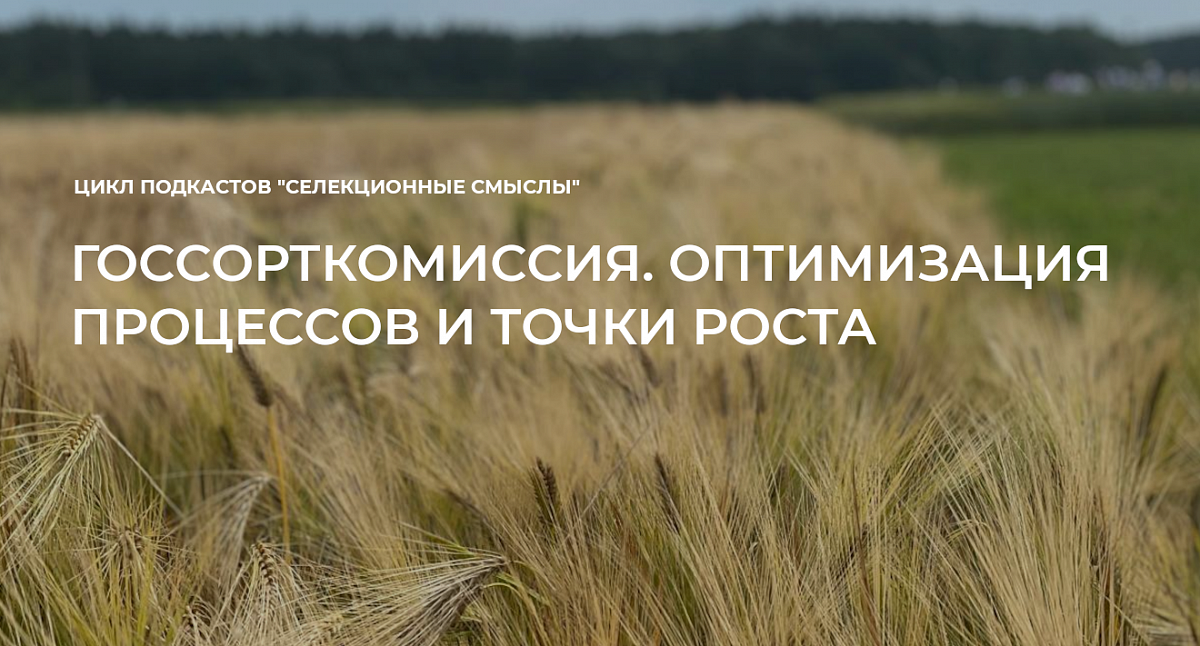 Анонс. Подкаст «Госсорткомиссия. Оптимизация процессов и точки роста»