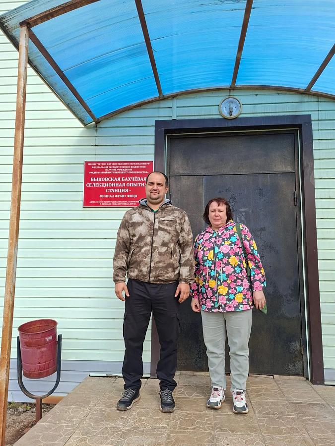 Специалисты Госсорткомиссии оценили перспективы дыни «Баллада» на Быковской бахчевой станции