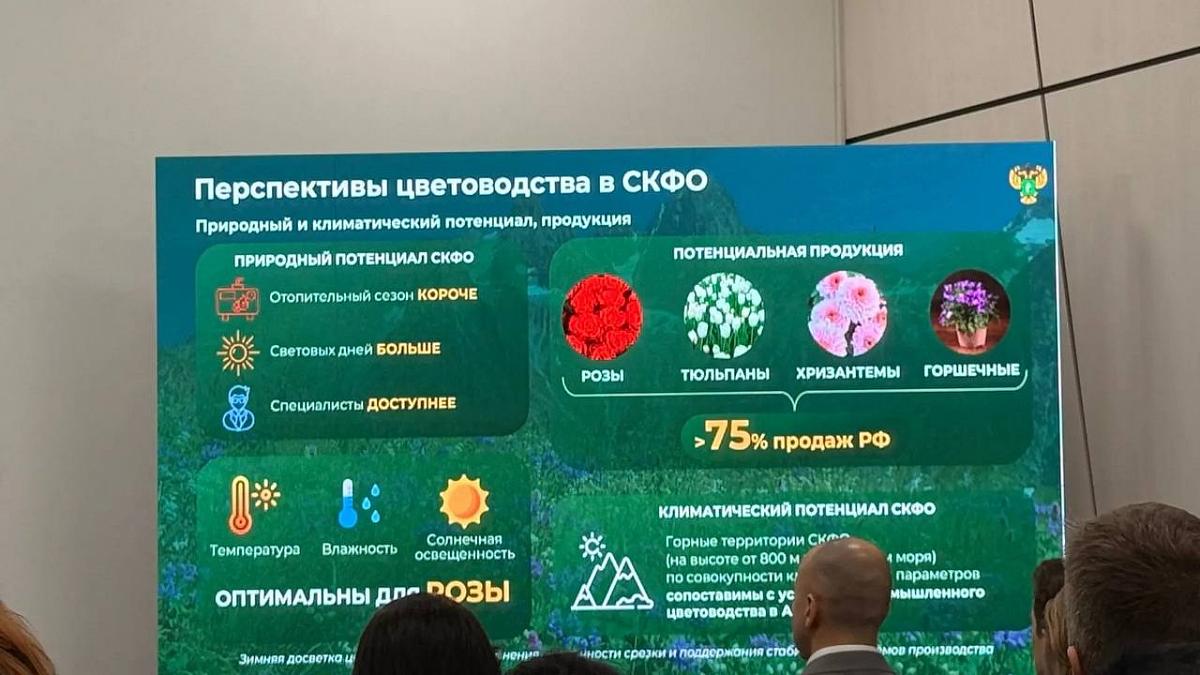 Обсуждение принципов регистрации селекционных достижений цветочно-декоративных культур в контексте текущих рыночных реалий 