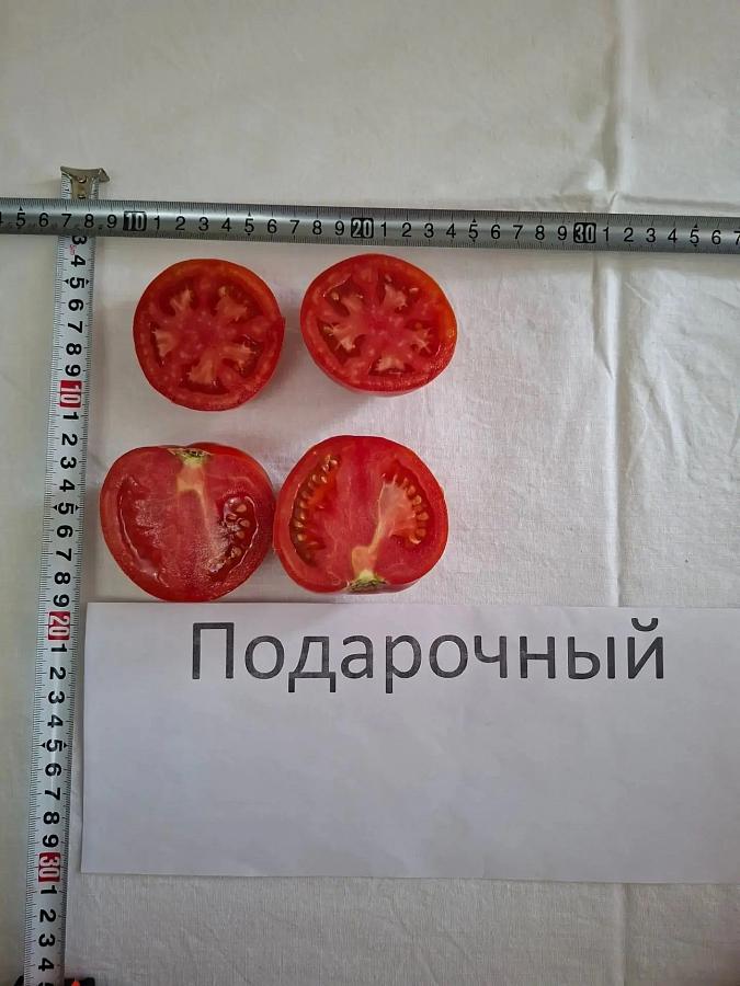 Специалисты Городищенского ГСУ провели выездной осмотр томатов