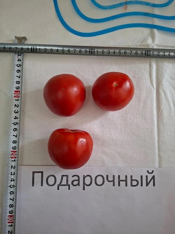 Специалисты Городищенского ГСУ провели выездной осмотр томатов